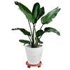 Durable Flower Pot Tray with Rollers Round Plastic Tray for Garden Plants Pot Heavy Duty Plants Pot Holder Anti deformed