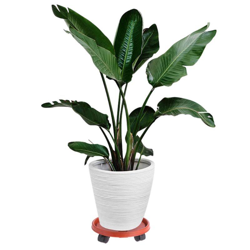 Durable Flower Pot Tray with Rollers Round Plastic Tray for Garden Plants Pot Heavy Duty Plants Pot Holder Anti deformed
