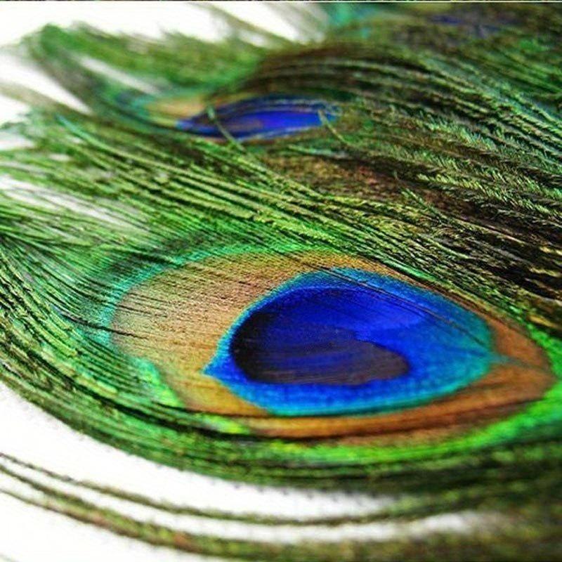10 STÜCKE Große Augen Pfauenfedern Naturfeder für DIY Bastelzubehör Hochzeit Zuhause Hotel Dekoration Federn