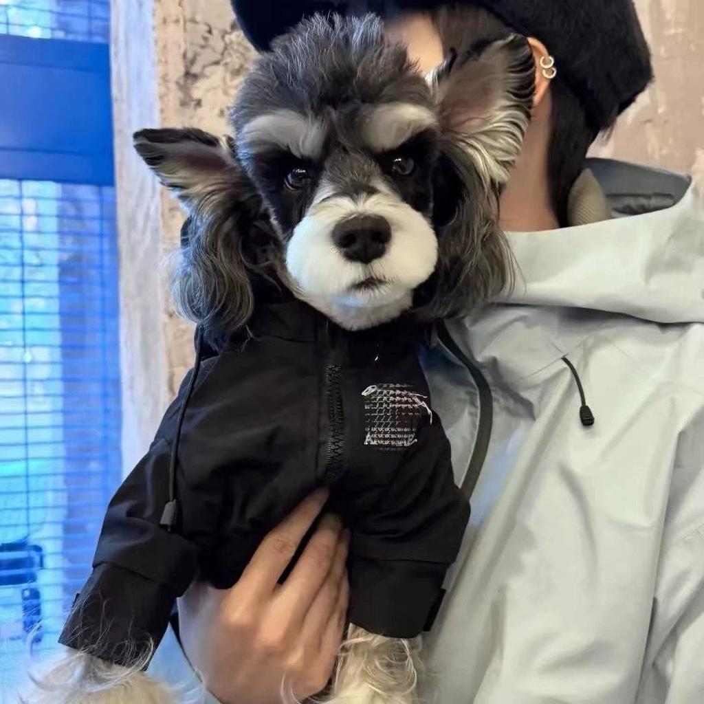 Trendy Pet Windbreaker: Warm Autumn/Winter Clothes for Small Dogs & Cats (Teddy, Bichon, Schnauzer, French Bulldog)