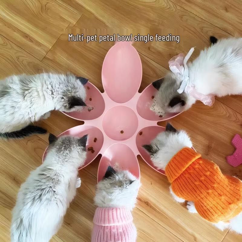 Multi-Cat Anti-Theft Petal Food Bowl for Kittens and Small Cats - Six Compartments
