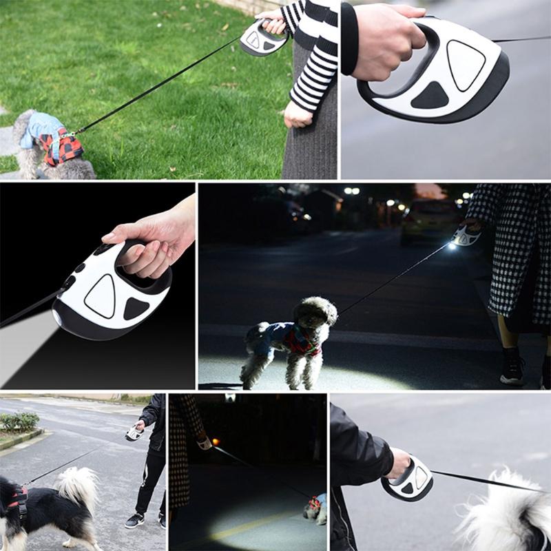 flashlight leash for dogs