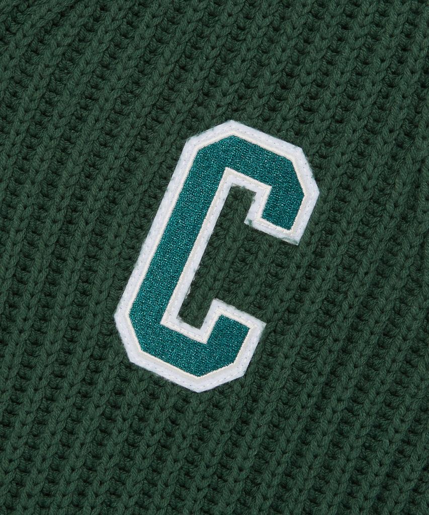 Champion Washable V-Neck Sweater Vest Normal Green