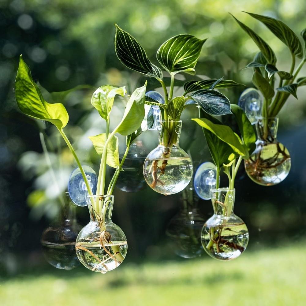 4 ks/sada s přísavkami Nástěnná váza Průhledný mini květináč Okno