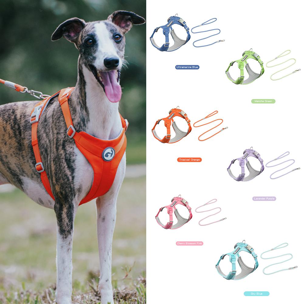 Walking Dog Harnesses Set With Leashes Pet Dog Cat Gifts Vest For Small Medium Large Dogs Rope Set Outdoor Training Pet Supplies
