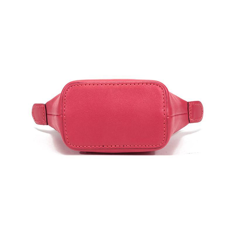 Longchamp Le Pliage Cuir Lambskin Mini Crossbody Shoulder Bag Women Bags Red 10099757545