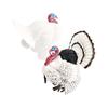 Realistic Poultry Model Toy With Educational Design For Children Learning And Collection