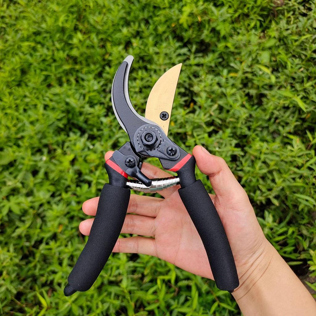 Multi-Functional Labor-Saving Pruning Shears for Thick Branches