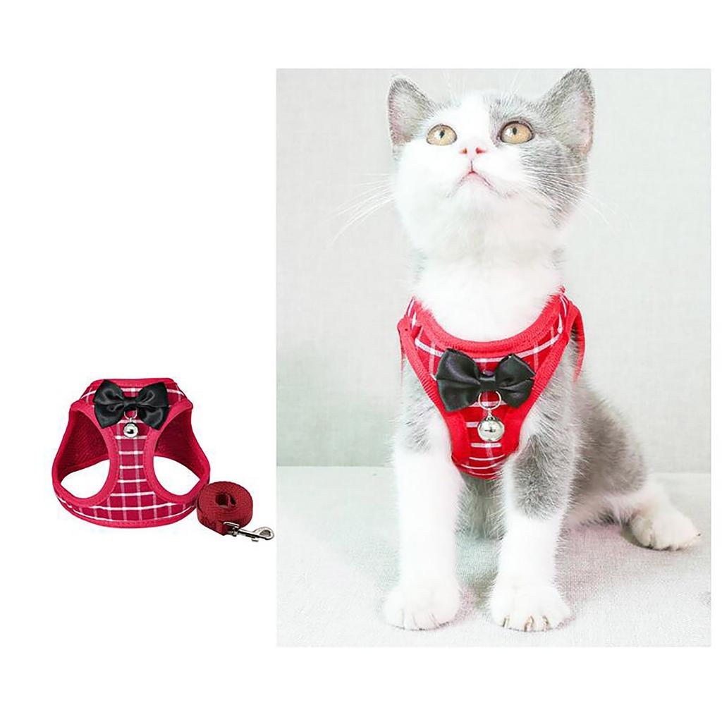 cat leash vest