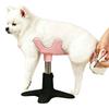 Dog Grooming Stand Adjustable Height Dog Grooming Table Rotatable Pet Support Holder Compact Portable for Bathing Trimming