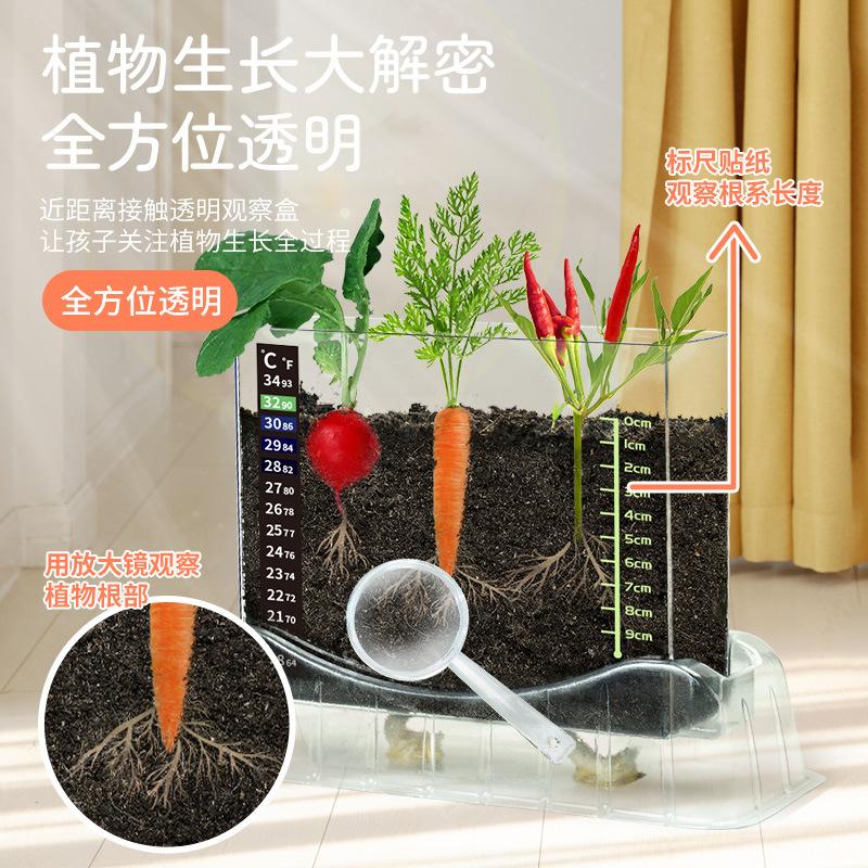 Xueyouma Plant Root System Observation Box Planting Seed Growth Scientific Experiment Handmade Toys Children Primary And Secondary School Students