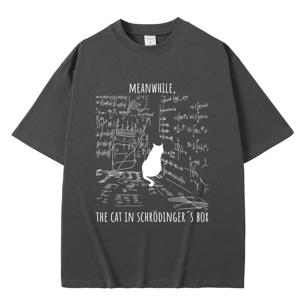 Nel frattempo Il Gatto nella Scatola di Schrödinger Divertente Meme T Shirt Uomo Donna Casual Cotone Vintage Tshirt Moda Maschile T-shirt Oversize