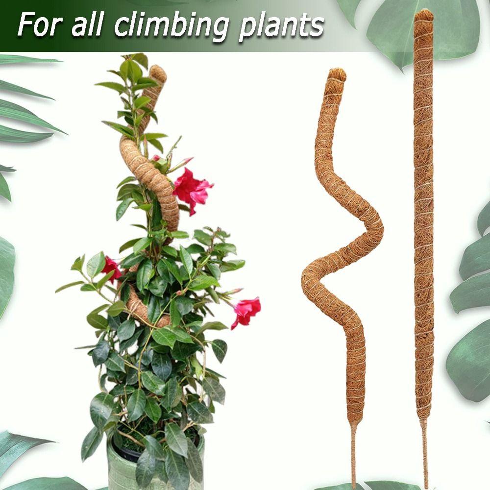 Plant Support Bendable Moss Pole Handmade Natural Material Garden Trellis Eco-Friendly Plant Support Stakes Climbing Plants