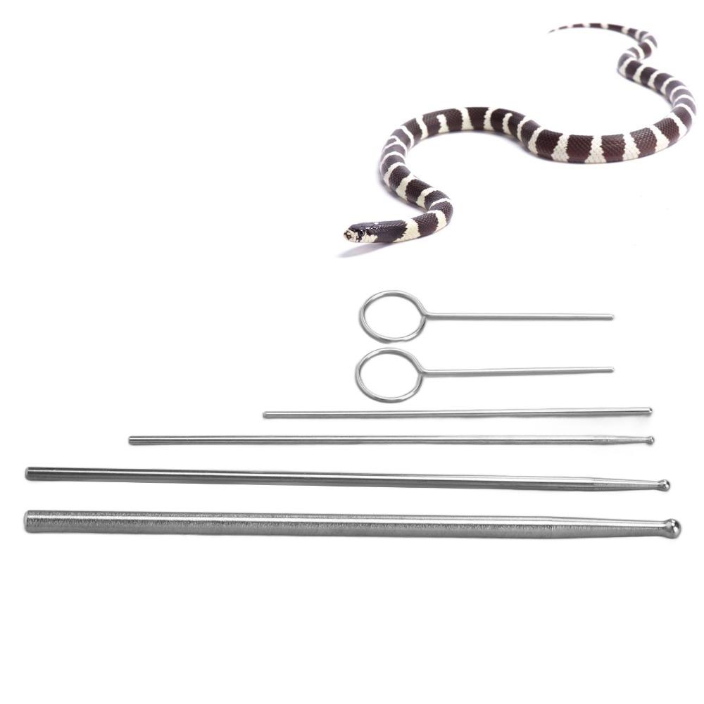6pcs Round Head Snake Sexing Probe Stainless Steel Reptile Sexing Probe Snake Breeders