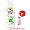 Anti-Dandruff Icy Fresh Scalp Care Shampoo