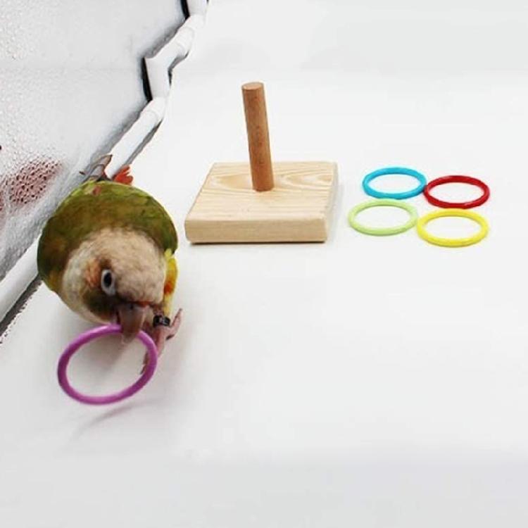 Education Playing Toy for Large and Small Parakeets, Eclectus, Conures