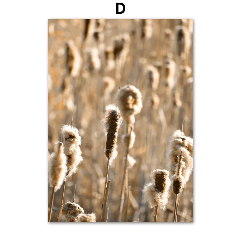 Autumn Bridge Lake Forest Wheat Grass Fall Posters Prints Canvas Painting Nordic Wall Art Pictures For Living Room Home Decor