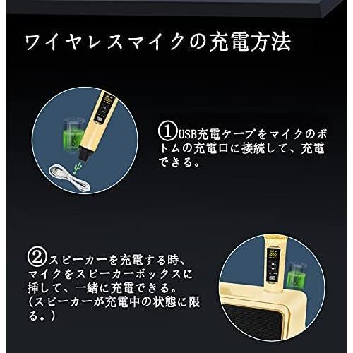 Karaoke Microphone, Karaoke Machine with Bluetooth and Wireless Microphone, Professional Karaoke Singing Machine for Home KTV, with Two Handheld Micro