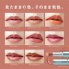 FASIO One-Swipe Lipstick 3.8g [All 8 Colors]- Long-lasting Color Lip Rouge