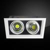 Longdai LED Double-Head Recessed Grille Spotlight