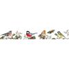 Masking Tape - GLOBAL GIFT - Christmas - Gold - Yellow - 15 Mm X 10 M