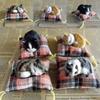 Cute Plush Cloth Pad Creative Creative Decoration Cat Ornaments Fake Cats Simulation Cat Plush Cats