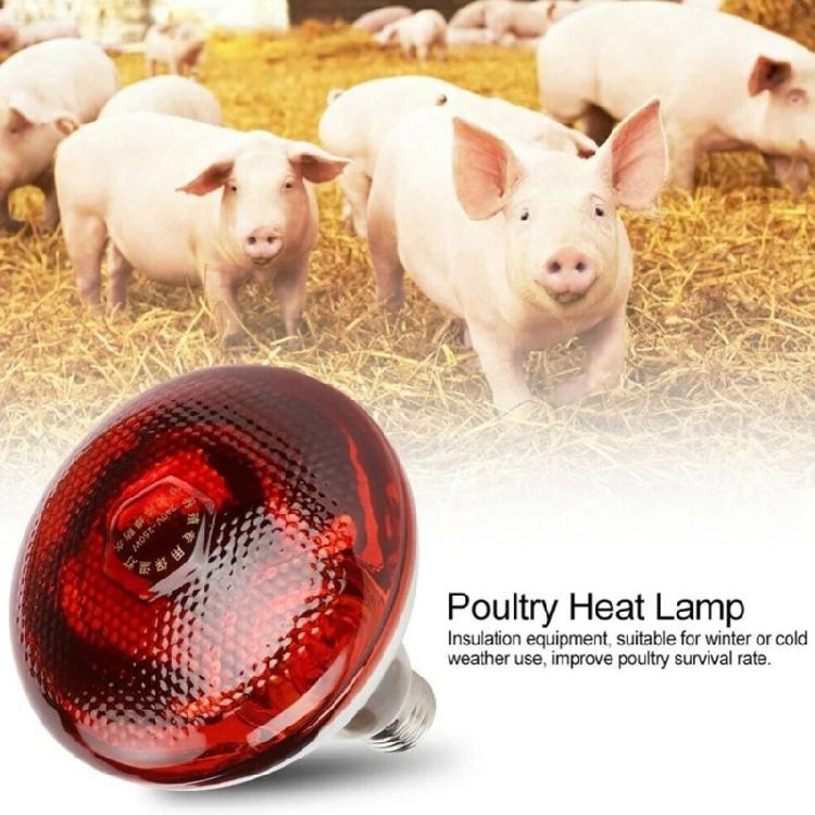 2pcs 250W Heat Lamp Red Light for Piglets Baby Chicken and Small Animals with E26 Base