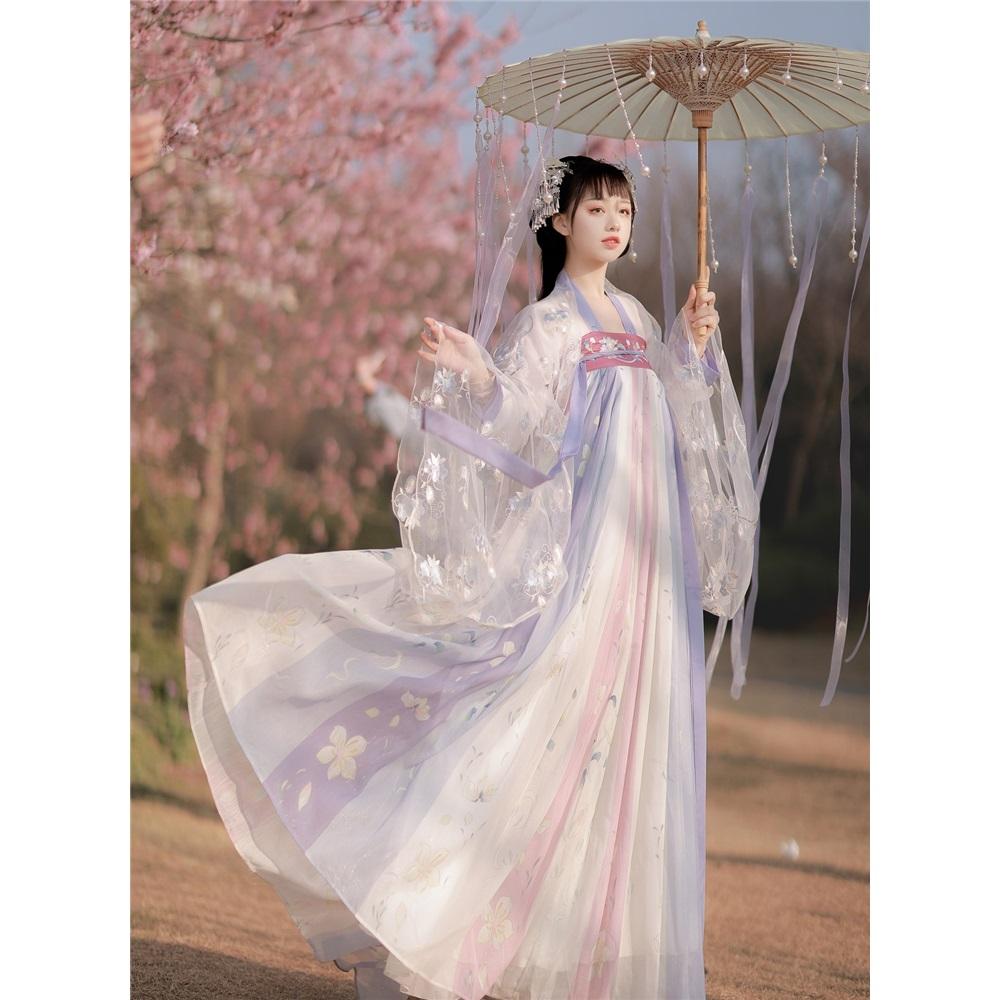 Chinese Tang Dynasty Style Hanfu Embroidery Daily Suit For Women