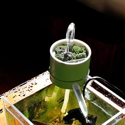 Fish Tank Filter Aquarium Filtration Decorative Silent External Wall Mounted