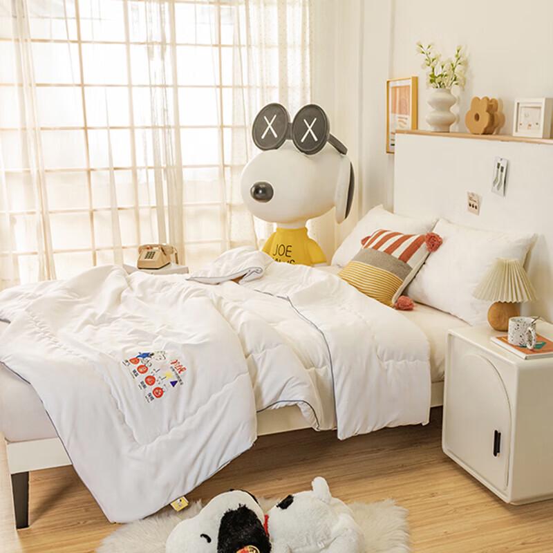 Snoopy Travel Cashmere Quilt