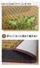 IKEHIKO Rush Grass Rug/Carpet, DX Kumiko Pattern, Approx. 95 X 150cm, Gray, Made In Japan, Non-Woven Backing #1715350
