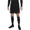 Nike Liverpool Fc Strike Men's Nike Dri-FIT Soccer Knit Shorts FN9392-010
