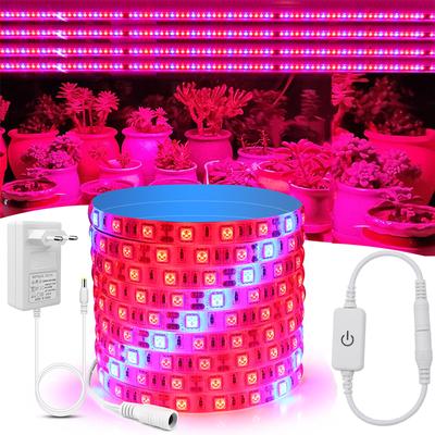 Striscia LED per coltivazione di piante 12V Touch dimmerabile 1-5m Lampada fito LED a spettro completo per piantine di fiori Crescere tenda Luce di crescita idroponica + adattatore di alimentazione