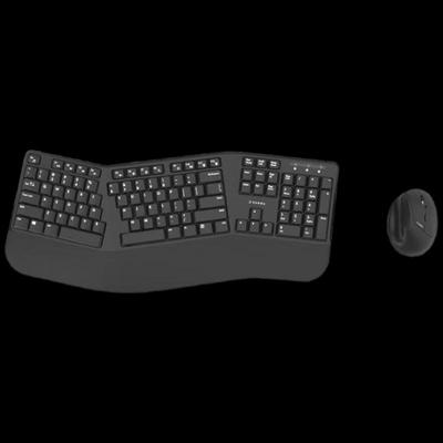 SANWA GSKBERGW6BK-SET Wireless Keyboard and Mouse Combo
