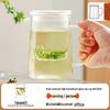 Yaji Heat-Resistant Borosilicate Glass Tea & Water Cup Collection