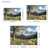 2D Alpine Daffodil Backdrop 2D Snow Mountain Forest Spring Photo Background for Party