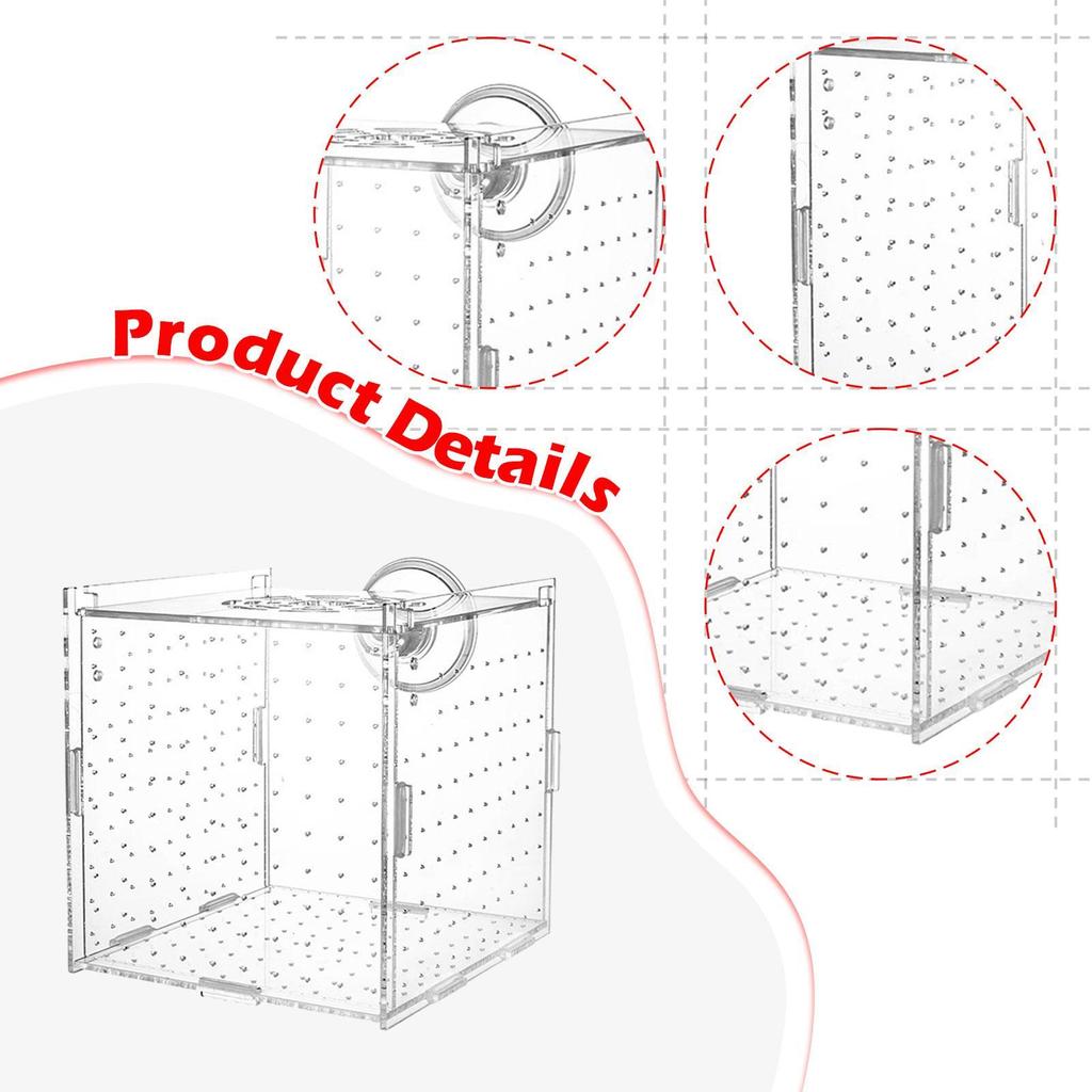 Aquarium Breeding Box Separator Clear Acclimation Hatchery Tank Box for Clown Guppy Small es
