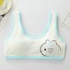 Anime Series Kitty Young Girl Vest BH Pubertet Pure Cotton Student Undertøy Sett Clean Health Jenter Feriegave