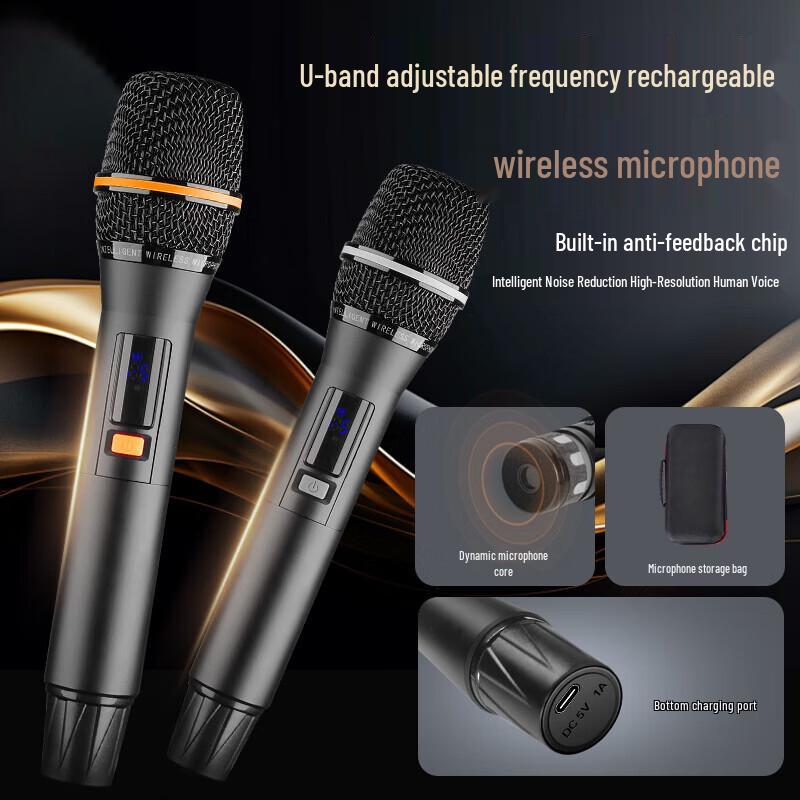 SAST ST-2118 Portable KTV Speaker System CN Plug (adapter Included)