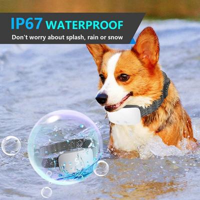 New  New Dog Bark Collar Intelligent Dog Anti Bark Collar Adjustable Sensitivity And Intensity Dog Stop Barking Control Device