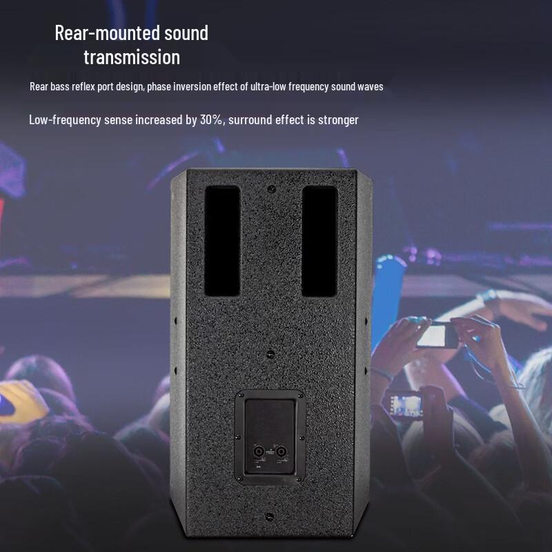 Weishu BM-10 Professional Full-Range Audio Speaker (CN Version)