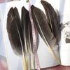 Primary Color Pheasant Hair Gray Knife Feathers Crafts Material Accessories Headdress Accessories Decorative Hard Feathers
