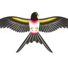 35cm Dynamic Children's Cartoon Weifang Kite with Carbon Rod for Fishing.