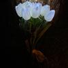 Flores Artificiales Tulipanes LED, Ramo Brillante de Mano con Pétalos Suaves, Tallo Flexible Luz Ambiental, Regalo Romántico Decoración del Hogar Dormitorio Ambiente