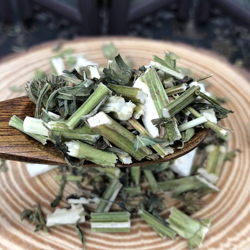 Świeża chińska herbata ziołowa Macierzanka moczona w wodzie Leonurus Japonicus Yimucao