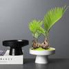 Junho Xuewen Bambu Pequena Planta Verde Vaso de Cerâmica Paisagismo Sala de Estar Mesa Retro Zen Jianshan Utensílios para Arranjo de Flores