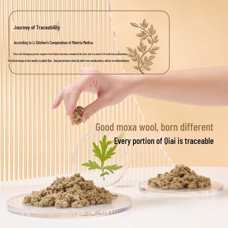 Breo Ginger Bamboo Portable Electronic Moxibustion Device CN plug (adapter included)