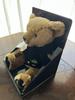 [USED] Harrods Millennium Teddy Bear 2000