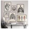 Vintage-Poster und Drucke, Arztbüro, Dekoration, Skelett, anatomischer Schädel, Leinwandgemälde, menschliche Anatomie, Wandkunst, Krankenhaus