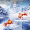 Compact Eco-Friendly Fish Tank Set with Lid for Living Rooms - 2025 Model